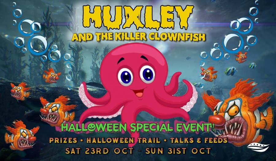 a poster of a pink cartoon octopus and a fish with a scary clown face. Says Huxley the killer clownfish.