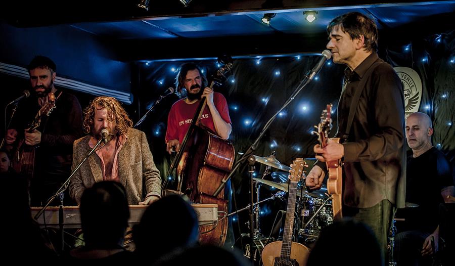 Hothouse Flowers