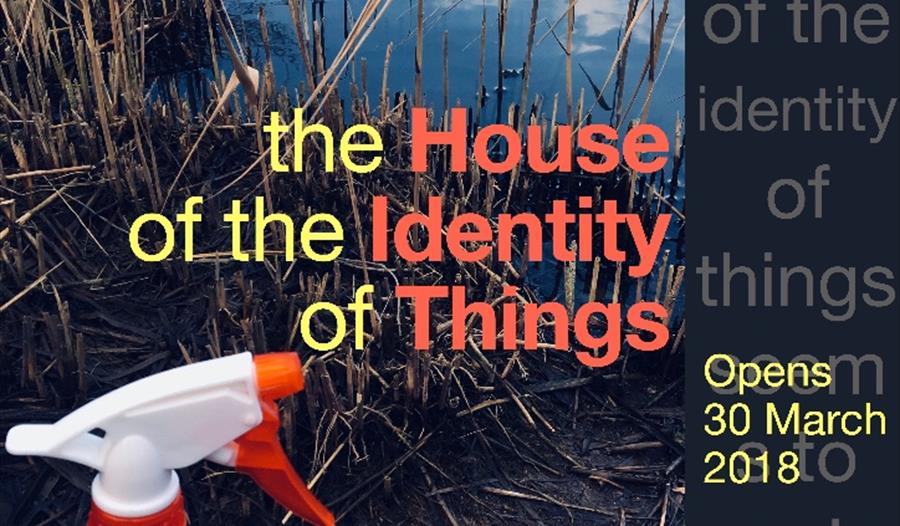 A Town Explores a Book