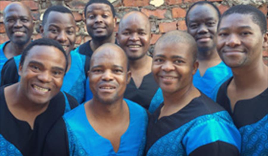 Photo of the band