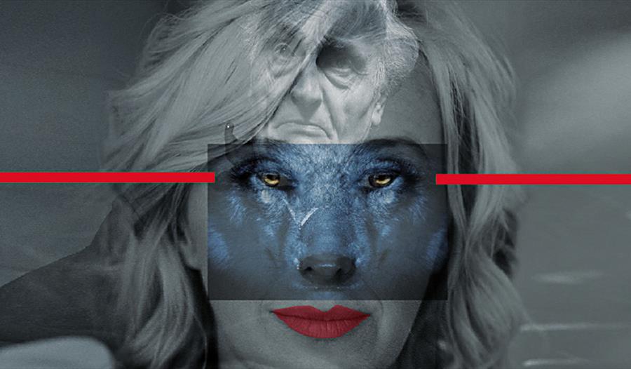 a multi-layered photograph with a black and white portraits of a man and woman and overlapping wolf face.