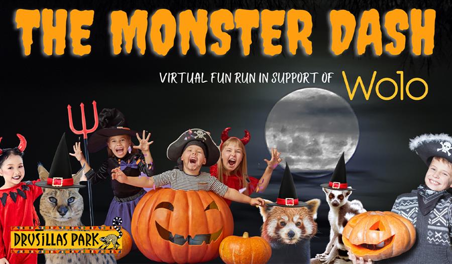 a poster for Drusillas Park's monster dash. Top reads Monster Dash in orange writing. Bottom edge shows collage of children dressed in halloween costu