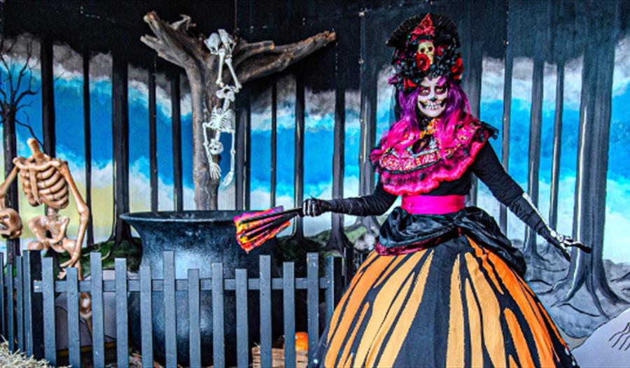 Halloween Shriek Week at Drusillas Park