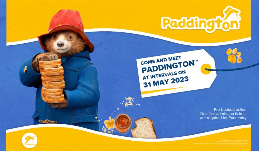 Meet Paddington at Drusillas Park