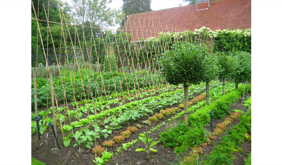 Kitchen Garden Week at Pashley Manor Gardens