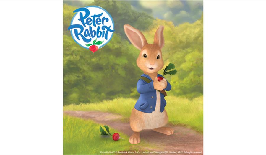 Meet and Greet Peter Rabbit