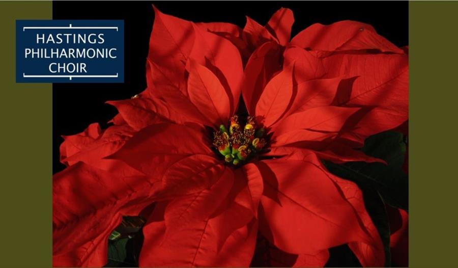 Carols for All