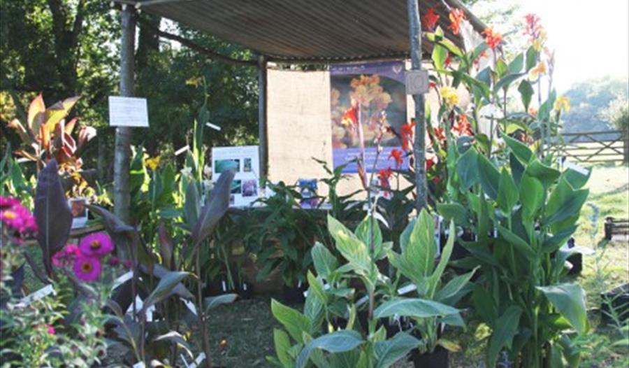 Great Dixter fair