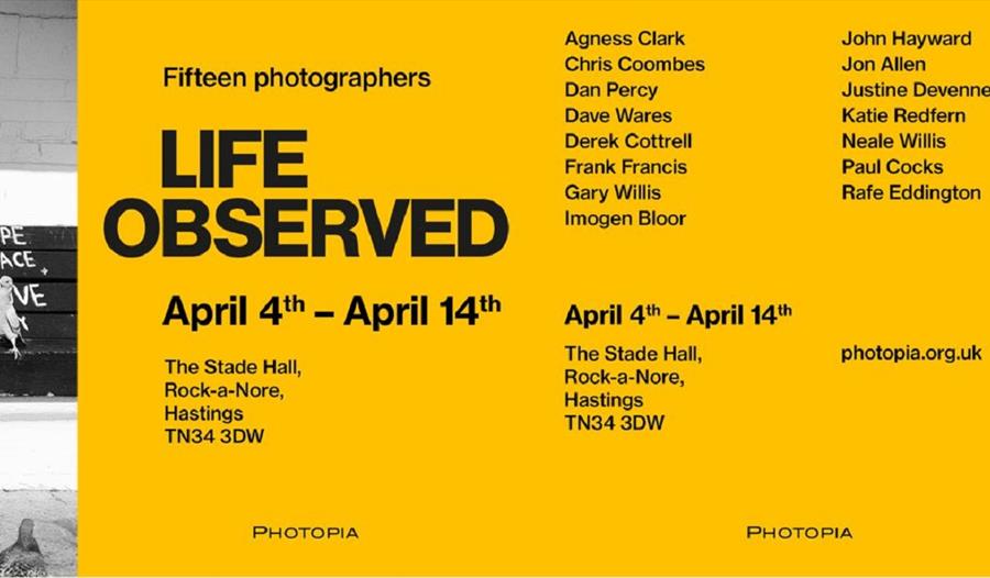Yellow poster with the title "Life Observed". The poster has detaiuls about the exhibition and artists names, included in the text description. To the