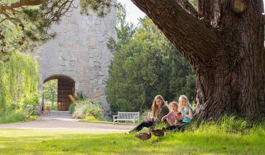three children sitting under a tree at michelham priory grounds
