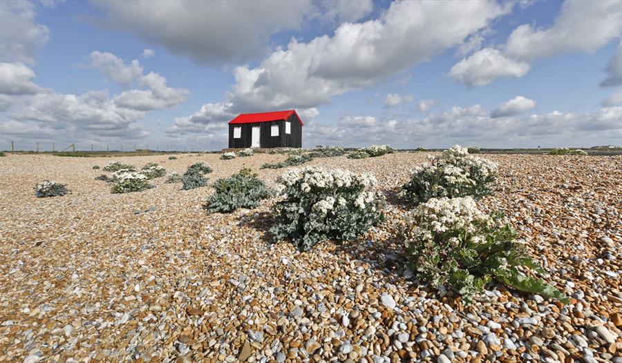 An Introduction to the southwestern part of Rye Harbour Nature Reserve