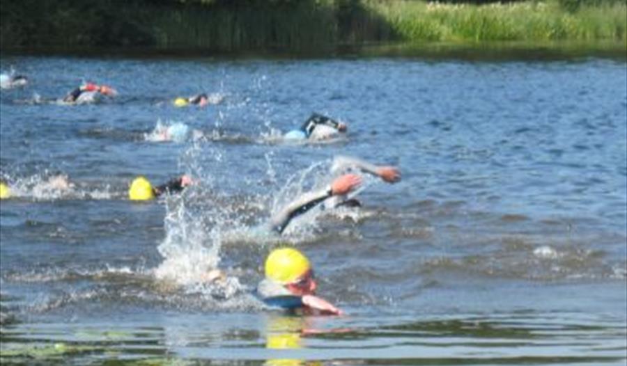 Rye Triathlon Swim
