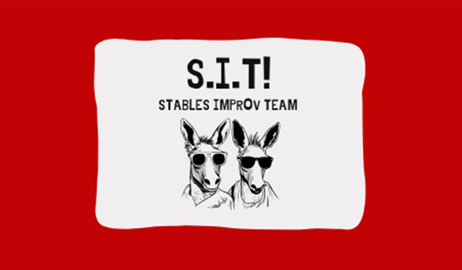 Unstabled: Stables Improv Team