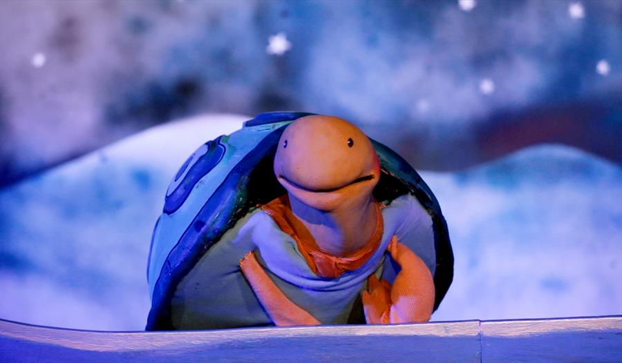 A puppet tortoise.