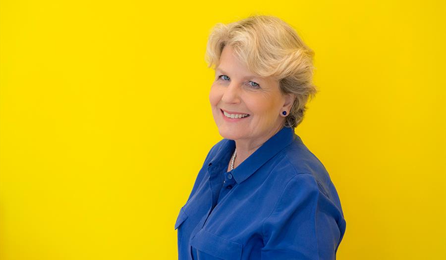 Sandi Toksvig Live: National Trevor