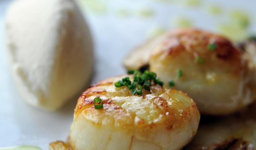 A photograph of fried scallops served on a plate.