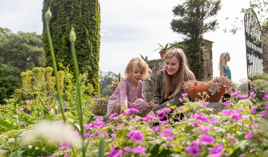 Growing Wild For Nature with the Garden Guardians at Michelham Priory