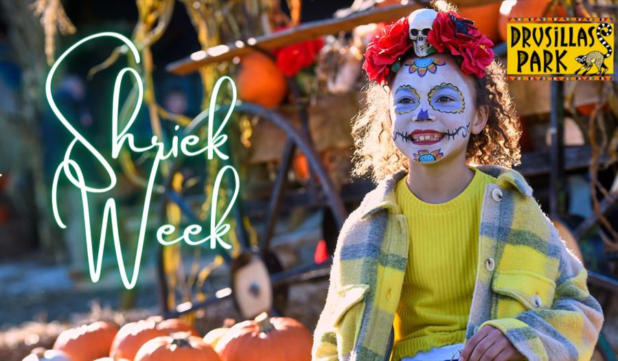 poser with young child in day of the dead face paint, with pumpkins in the background.