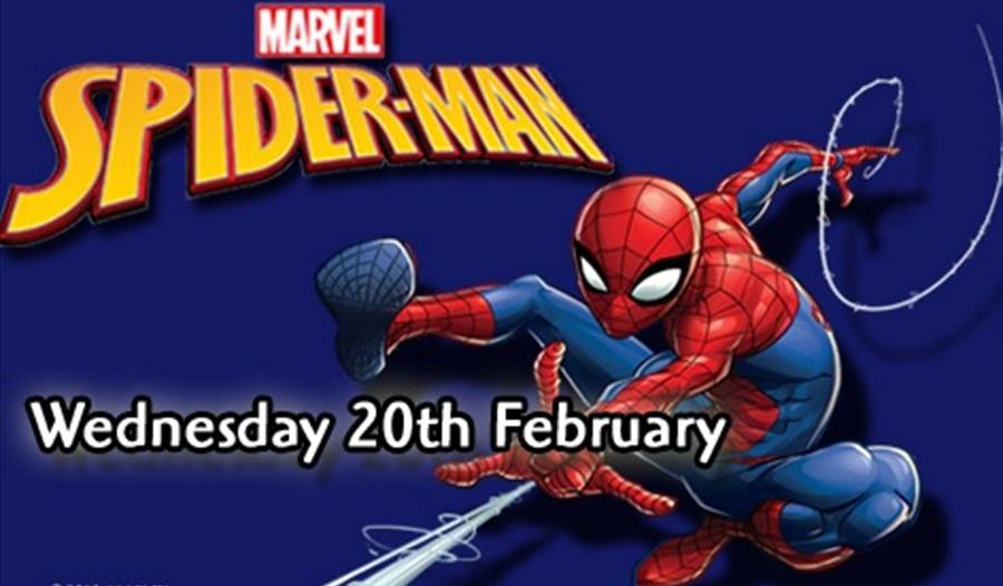 Meet and Greet Spiderman