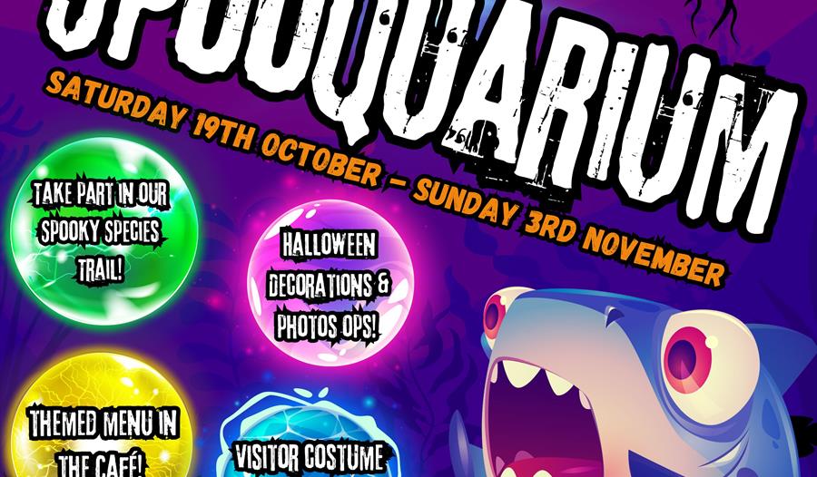The Spooquarium