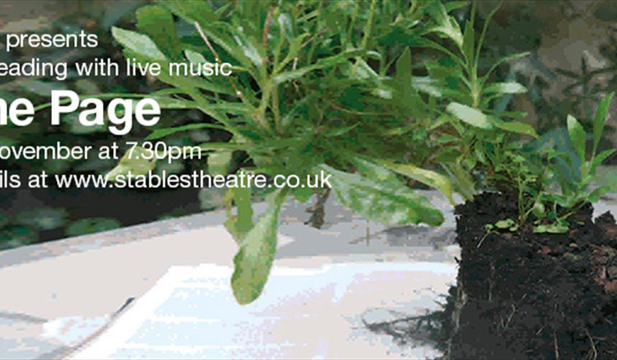 poster for Turn the Page shows unpotted plant sat on book.