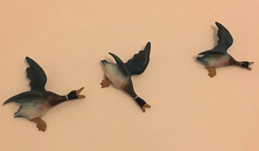 three wall mounted flying ducks.