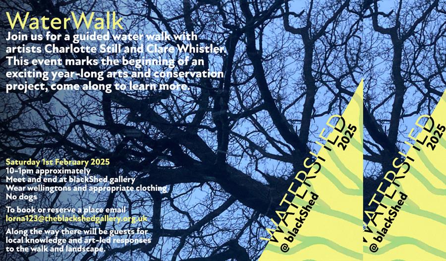 WaterWalk detailed poster