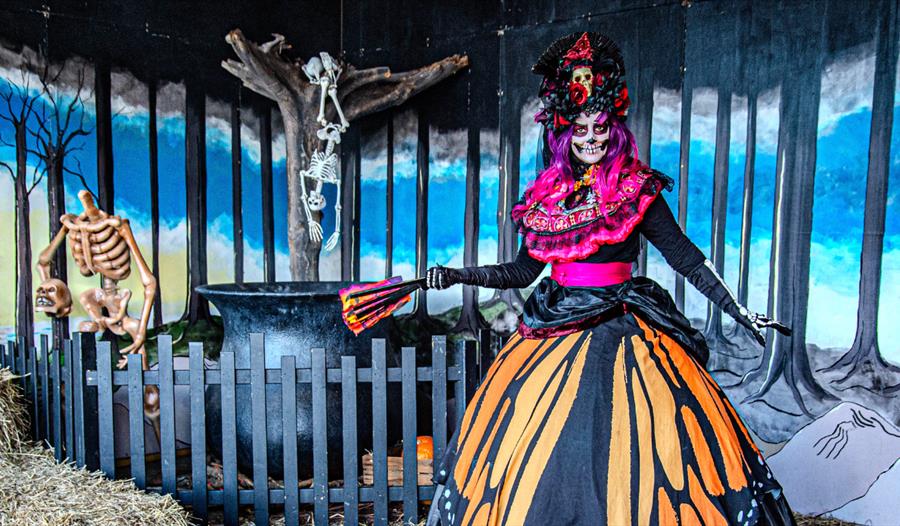 Halloween Shriek Week at Drusillas Park