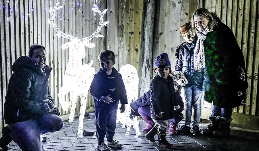St Michael's Westfield Christmas Lights