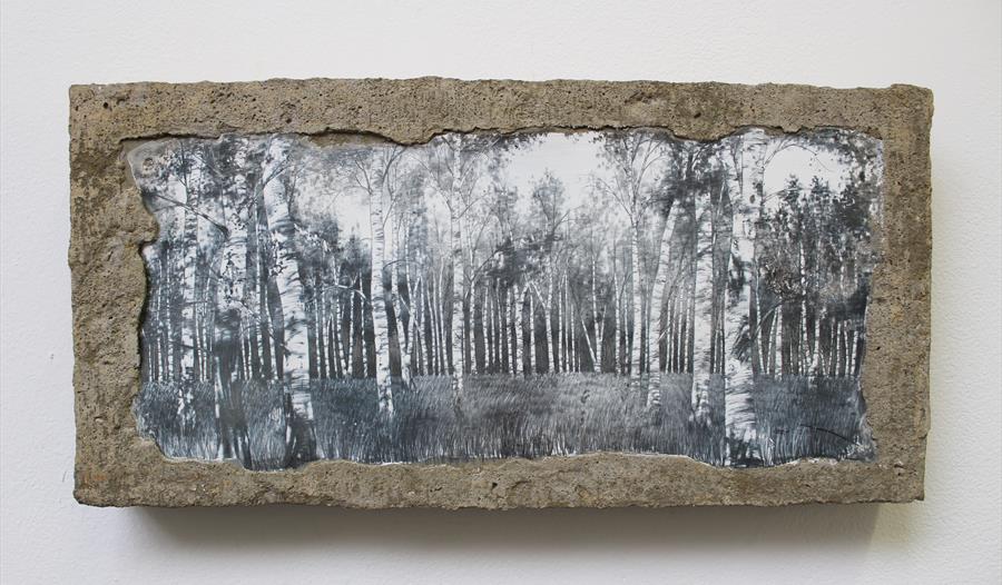 a photograph of an art work, a black and white photograph of trees, as part of a Red Door Gallery exhibition in Rye, Rother.