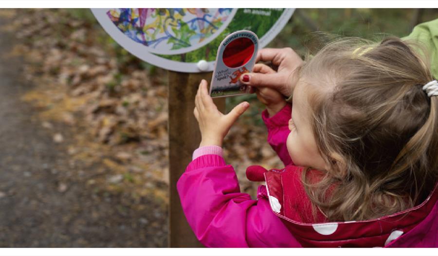 Zog Trail at Bedgebury National Pinetum and Forest