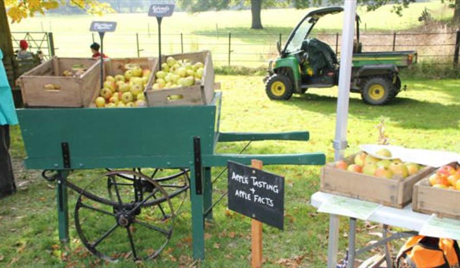 Batemans apple day