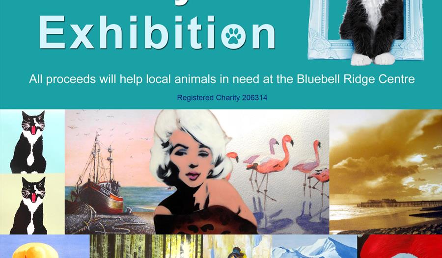 Charity Art Exhibtion