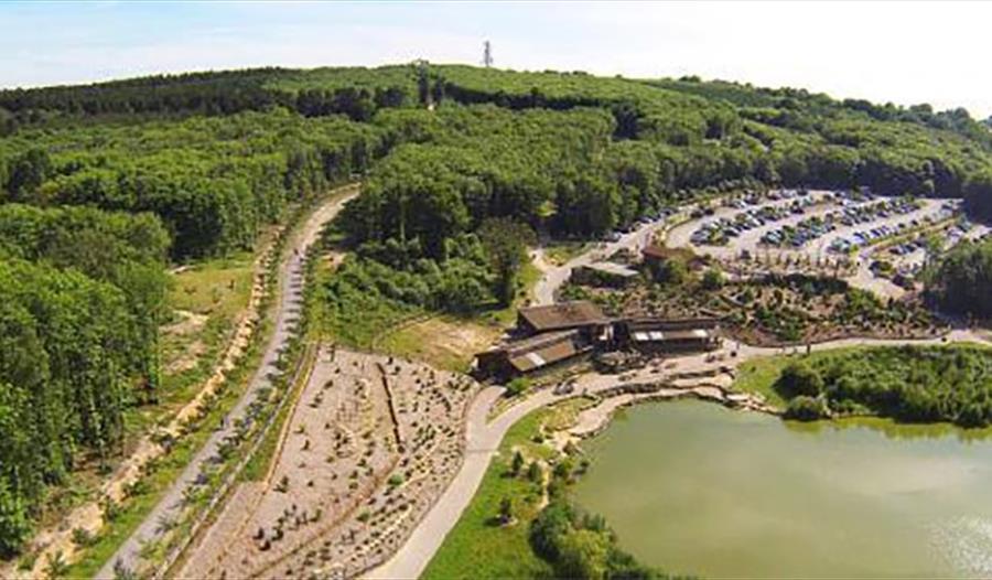 Bedgebury