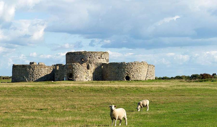 Camber Castle guided tours