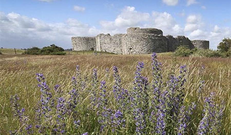 Castle & Wildlife Walk from Rye Station