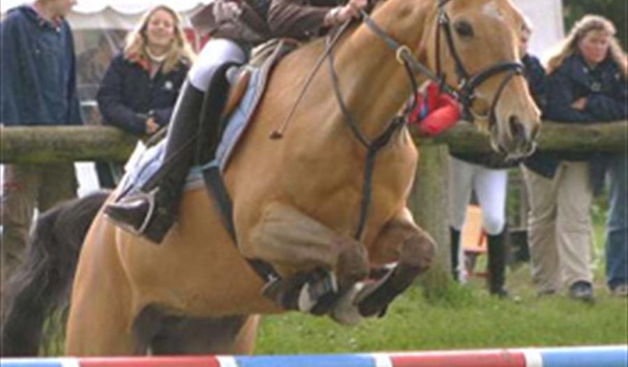 Chiddingly