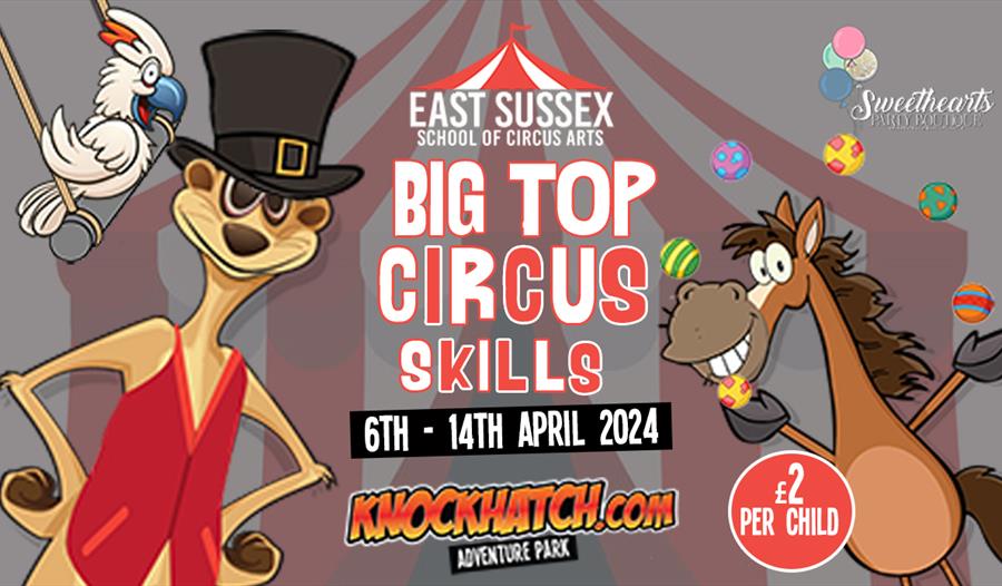 poster for Knockhatch Big Top Circus Skills