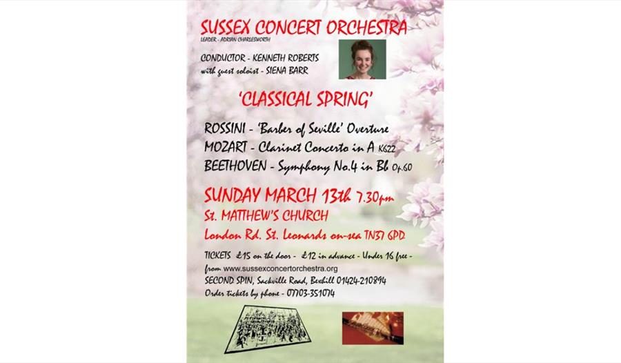 poster for Sussex Concert Orchestra