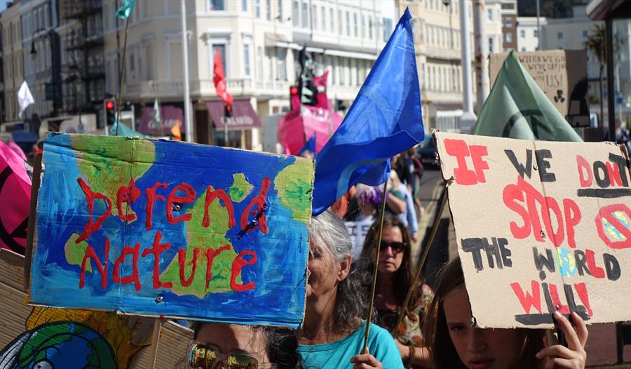 Creativity in Protest