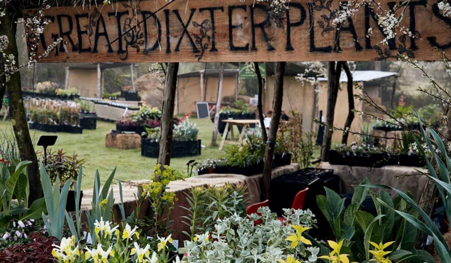 Great Dixter Spring Plant Fair