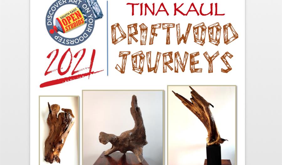 Tina Kaul - Driftwood Journeys Exhibition Poster