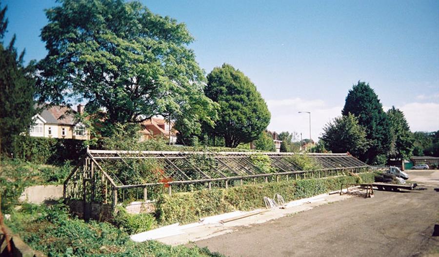 Greenhouse