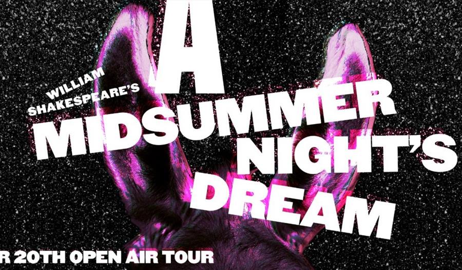 Text - A Midsummer Nights Dream