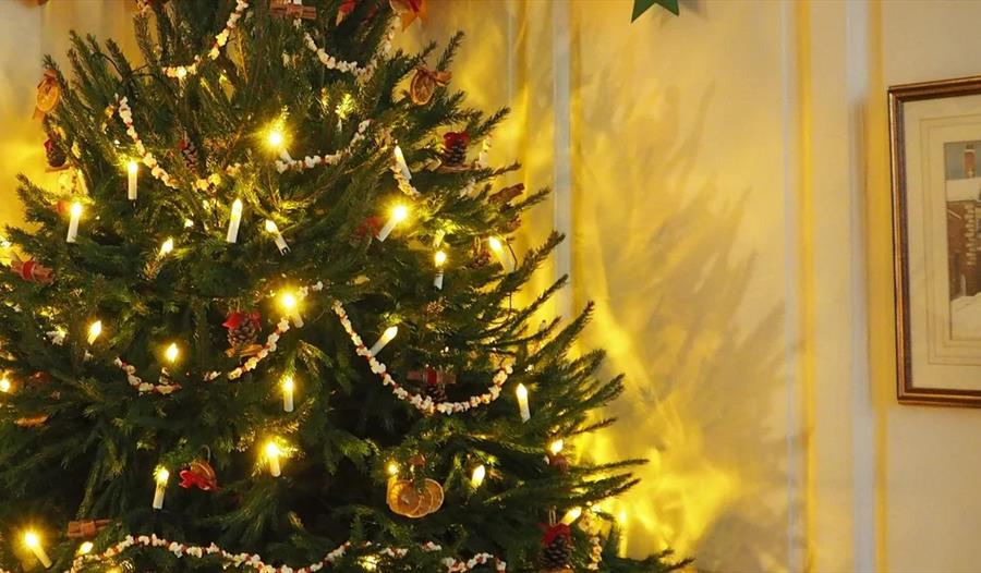 A Christmas Tree upon entering Lamb House | © National Trust Images/Cassie Dickson