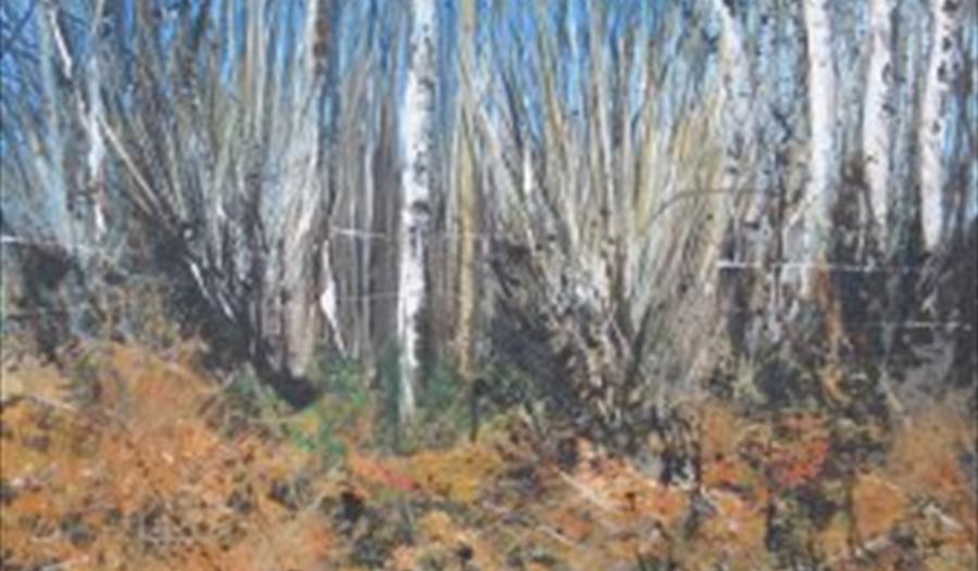 Hastings Arts Forum;s Members & Volunteer Show -open 11am - 5pm . closed Mondays