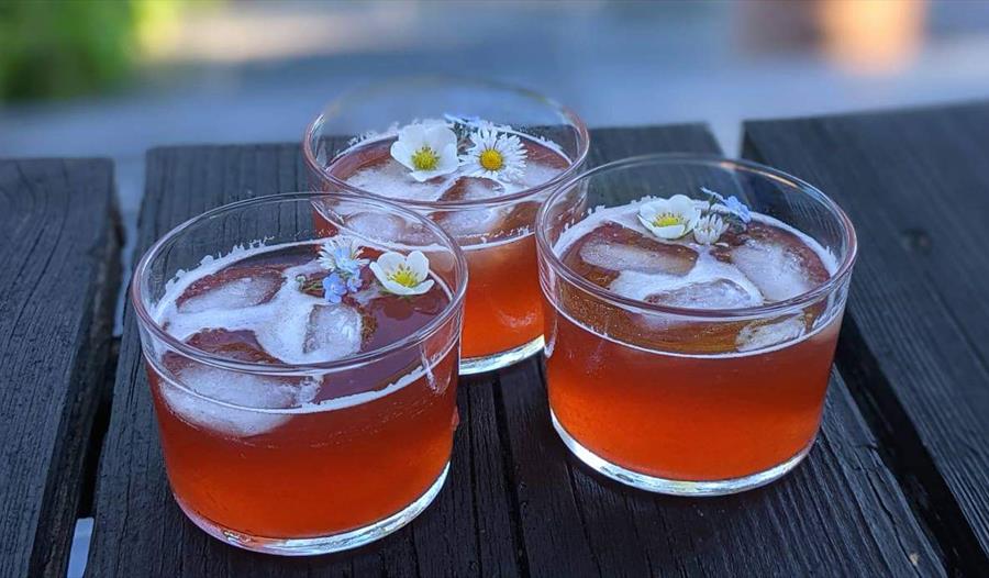 a photograph of three glass of an ornage drink, with ice cubes and daisies on top as a garnish.
