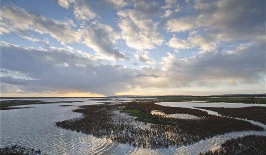 wetlands