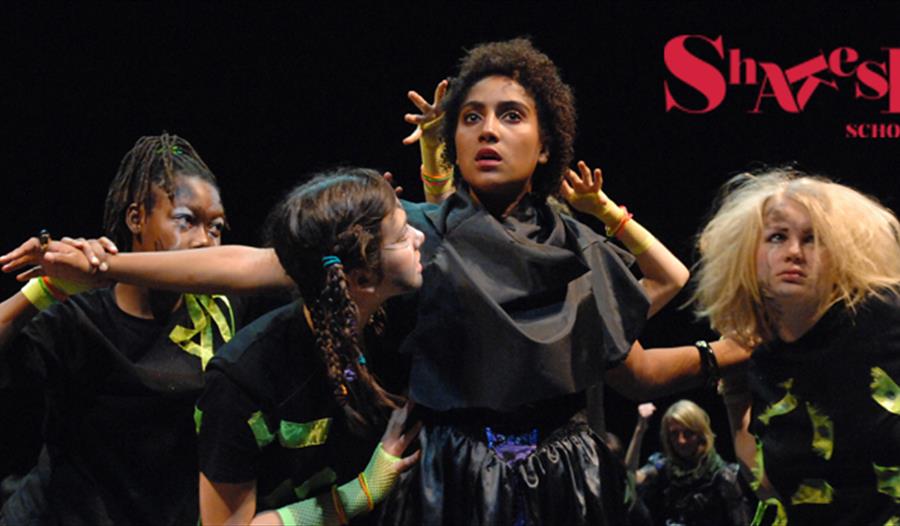 Shakespeare School Festival