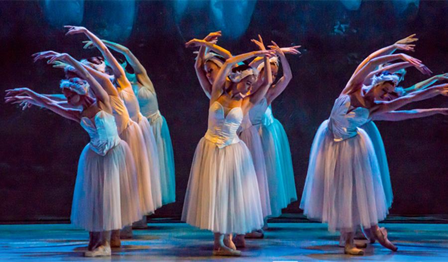 Swan Lake Vienna Festival Ballet presents